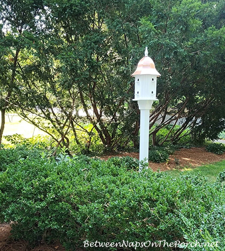 View of Dovecote from Front Porch