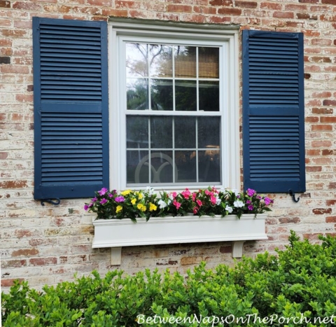 Fake flowers that look real for planters and window boxes