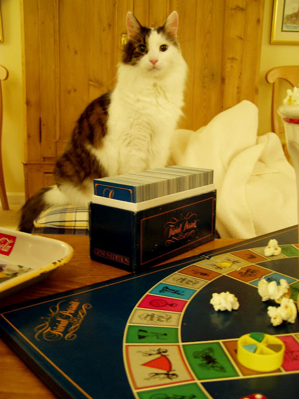 Trivial Pursuit Game Night Party